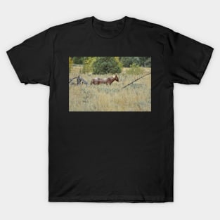 Wild Brown Horse T-Shirt